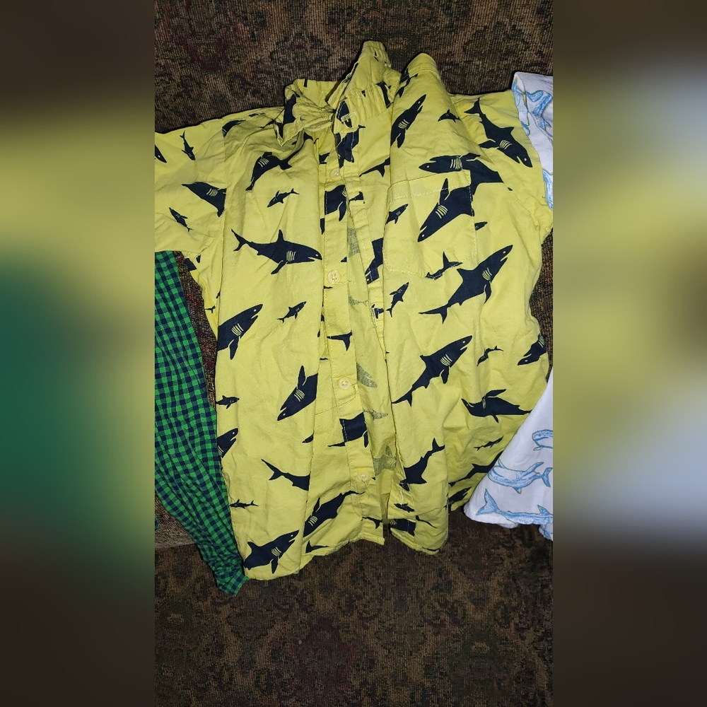 Shark Shirt